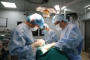 Phát triển các kỹ thuật chuyên sâu trong lĩnh vực phẫu thuật tim hở tại Bệnh viện đa khoa tỉnh Phú Thọ