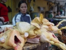 Gà “kháng sinh” đe dọa sức khỏe người tiêu dùng