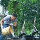 Khởi tố vụ án “rút ruột” xăng dầu ở Hạ Long