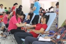 Hơn 200 nhân viên khối văn phòng hiến máu vì bệnh nhân Tan máu bẩm sinh