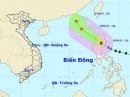Tối nay (5.4), bão Maysak vào biển Đông