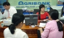 Agribank ưu tiên tuyển “con ông cháu cha" là vi phạm Hiến pháp?