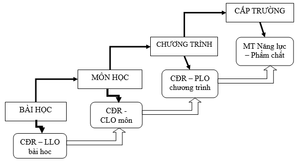 MỘT SỐ VẤN ĐỀ LÝ LUẬN VÀ MỐI QUAN HỆ  GIỮA CHUẨN NGHỀ NGHIỆP VÀ CHUẨN ĐẦU RA  TRONG CHƯƠNG TRÌNH ĐÀO TẠO GIÁO VIÊN TIỂU HỌC HIỆN NAY