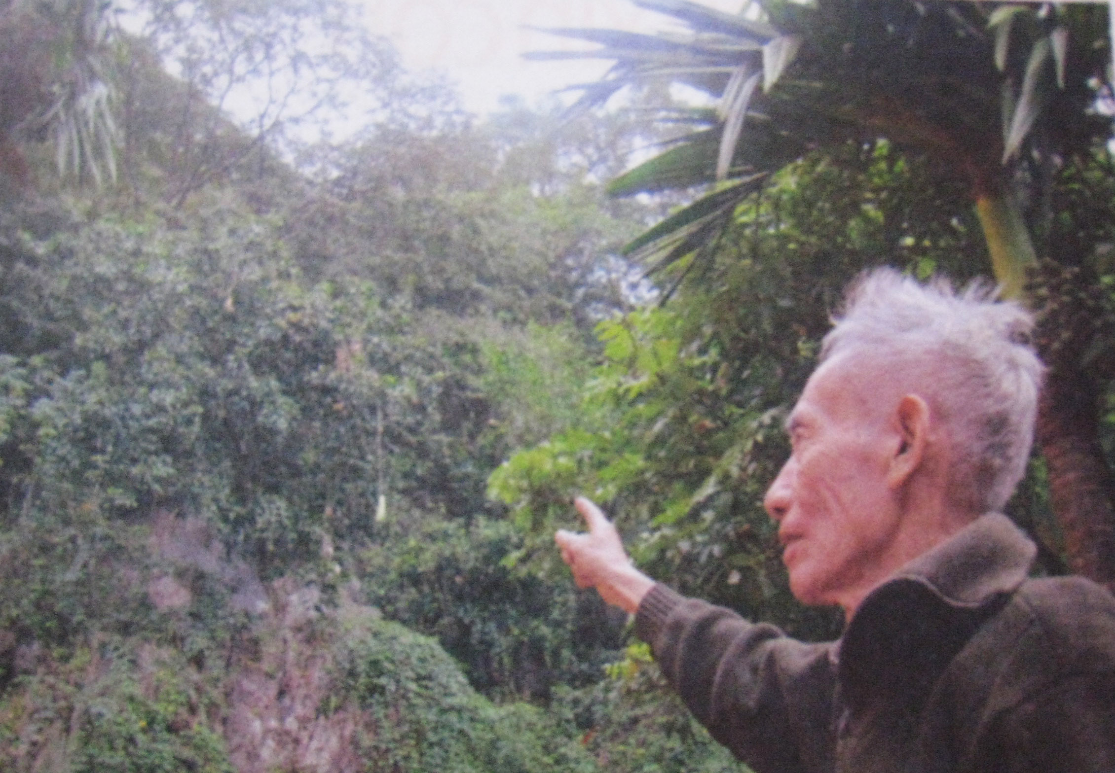 Năm ngọ kể chuyện vào bụng rồng săn “ngự thiện” dơi ngựa